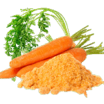 Carrot powder by Tvaritha